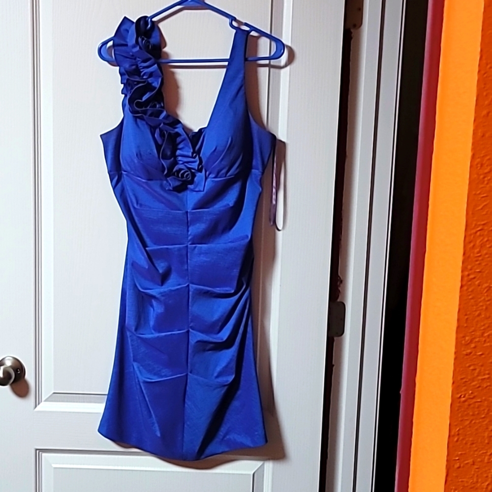 F L Fashions size 14 blue chrome